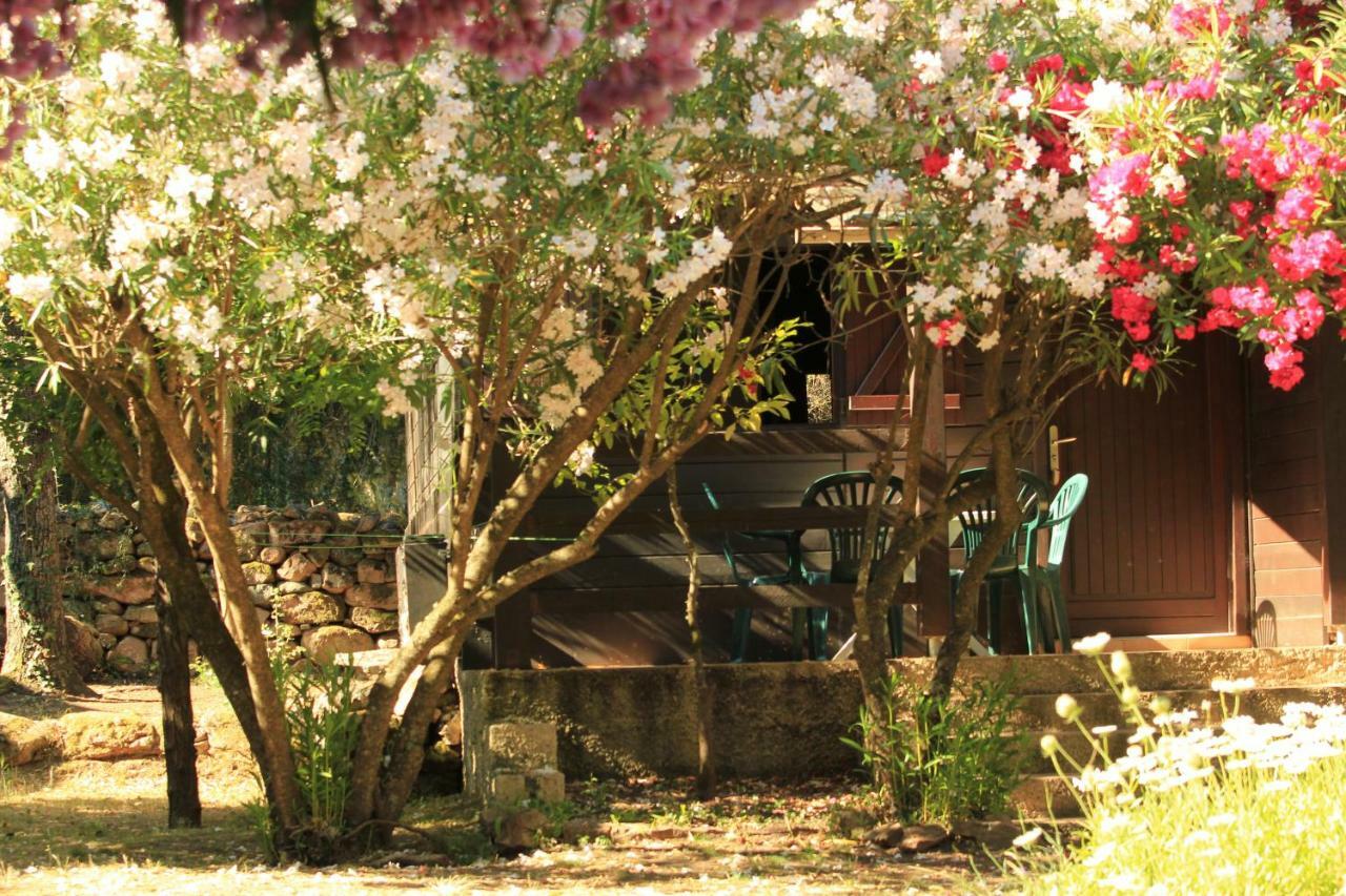 Residence Marina Livia Serriera  Εξωτερικό φωτογραφία